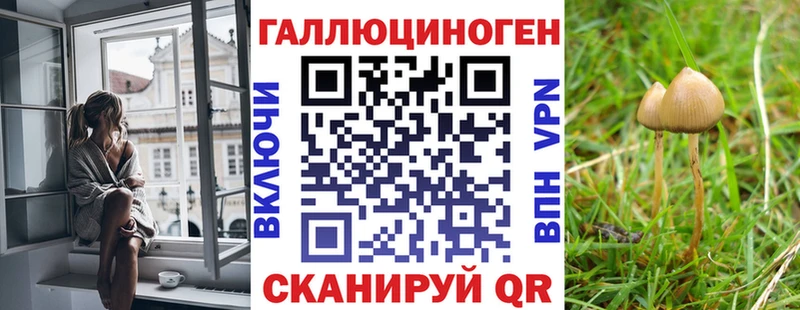 Галлюциногенные грибы Magic Shrooms  Купить  Коряжма 